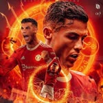 Ali