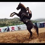 Sedat