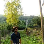 Cihan