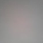 Erdal