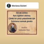 Leyla