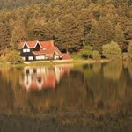 Profil fotoğrafı