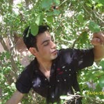 İzzet