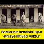 İsmail