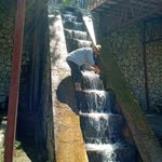 Erdal