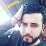 Şahin