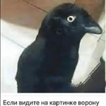 Azat