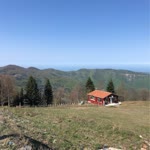 Burak