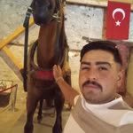 Harun