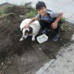 Öznur