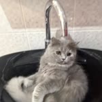 Serkan