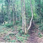 Gökmen