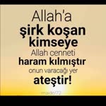 Sedat