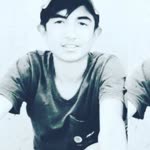 Veysi