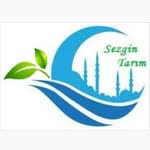 Sezgin