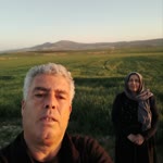 Sedat