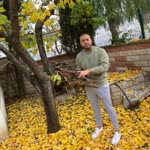 Özgün