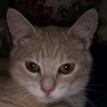 Ugur