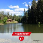 Yalçın