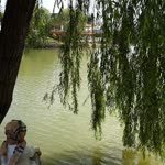 Müberra