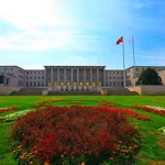 Nihat