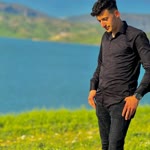 Veysel