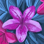 Sadaf