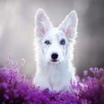 Esra