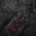 Doğan