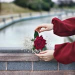 Sibel