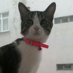 Emre