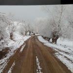 Salih