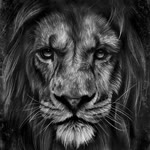 Aslan