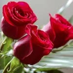 Hamdi