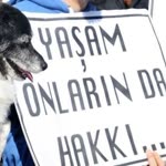 Düzgün