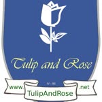 Tulip