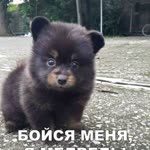Vitaliy