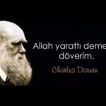 Yunus