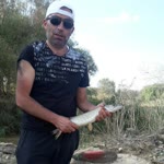Aydoğan