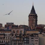 Derya