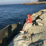 Sibel