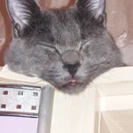 Melike