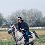 Alihan