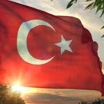 Selin