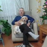 İlhan