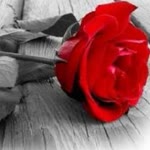 Hazal