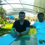 Tayfun