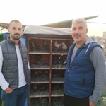 Hikmet