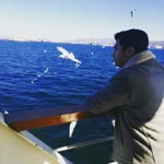 Şamil