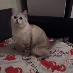 Юрий